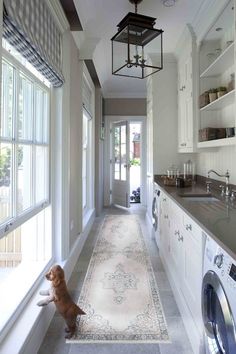 a dog sitting on the floor next to a washer and dryer in a kitchen