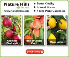 the nature hills website has three different types of fruit