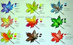 a bunch of different colored leaves that are on a white board with words written below them