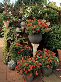 an assortment of potted plants and flowers on a patio