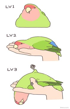 two birds sitting on top of each other's hands, one is green and the other is pink