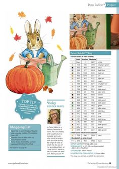 an image of a magazine page with pictures of pumpkins and rabbits in the background