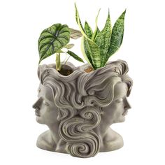 a statue head with a plant growing out of it