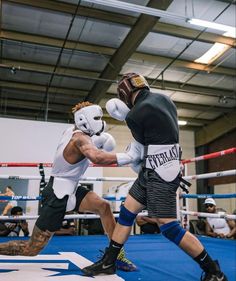 Devin Haney, Boxer Aesthetic, Boxing Training Workout, Boxing Videos, Endurance Workout, Boxing Training