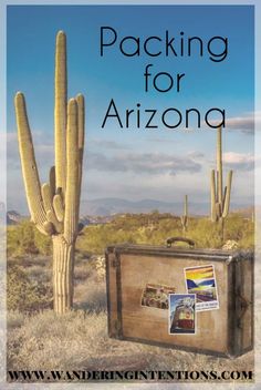 a suitcase sitting next to a cactus in the desert