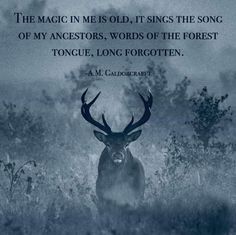 a black and white photo with a quote about the magic in me is old, it sings the song of my ancestors, words of the forest tongue, long forgotten, long forgotten