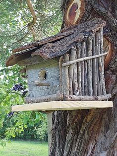 a bird house built into the side of a tree