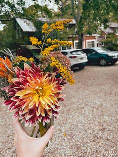 a person holding a vase with flowers in it on the ground next to parked cars