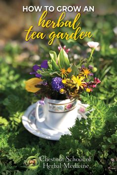 the cover of how to grow an herb tea garden