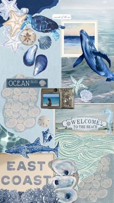 an ocean themed collage with seashells and shells