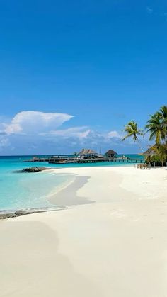 an empty beach with palm trees in the foreground and blue water on the other side