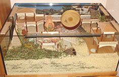 a large glass display case filled with lots of animals