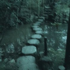 stepping stones are lined up in the woods