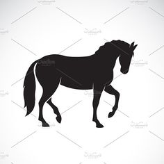 black horse silhouette on white background