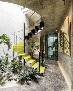 an indoor staircase with yellow steps leading up to the second floor and potted plants on either side