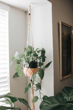 a potted plant hanging from a rope next to a window