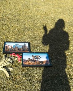 Posters from the Joshua Tree and Yosemite Collections featuring Joshua Trees, mountain landscapes and blue skies. Joshua Tree Poster, Joshua Trees, The Joshua Tree, Tree Poster, Mountain Landscapes, Joshua Tree National Park, Landscape Scenery, Inspirational Posters, Yosemite National