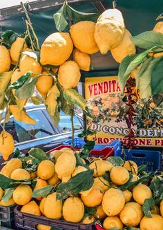 lemons are hanging from the tree in front of a vendor's booth at an outdoor market