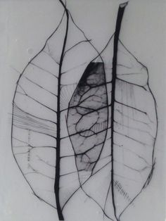 two leaves that have been drawn in black and white