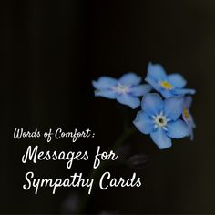 three blue flowers with the words words of comfort messages for sympathy cards on top of them