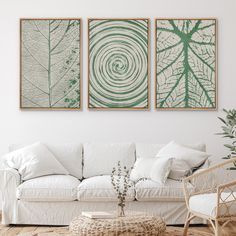 three green and white paintings on the wall above a couch