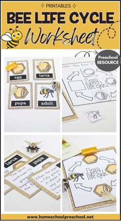 printable bee life cycle worksheet for kids to practice their handwriting and writing skills