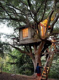 a man standing in front of a tree house with stairs leading up to the roof