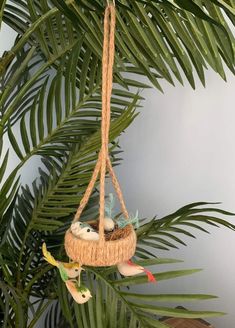 two birds in a nest hanging from a palm tree ornament on a branch