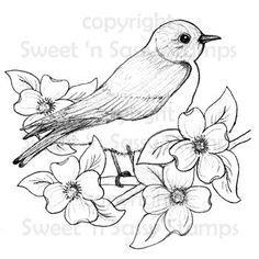 a bird sitting on top of flowers with the words sweet in scripts written below it