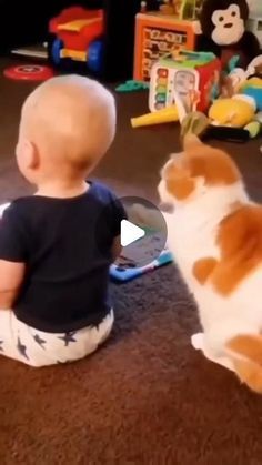 a baby sitting on the floor playing with a cat