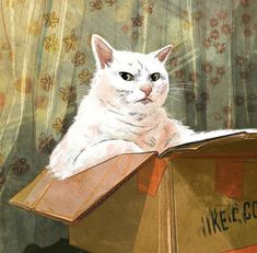 a white cat is sitting on top of a cardboard box and looking at the camera