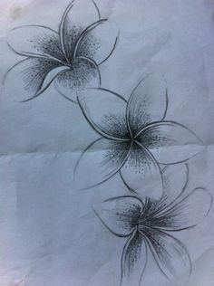 three flowers are drawn on white paper