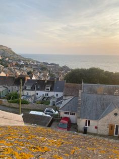 an aerial view of houses and the ocean with yellow flowers growing on the ground in front of them