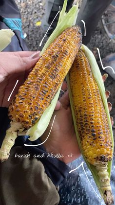 an ear of corn is being held by someone's hand