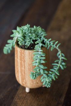 a small potted plant sitting on top of a wooden table