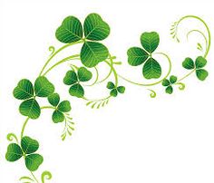 four leaf clovers with swirly vines on white background