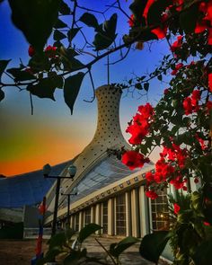 red flowers are growing in front of a building with a glass dome on the roof