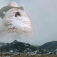 an animal with a hat on its head in the air above snow covered mountains and hills