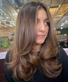 360 Of Layered Hair, Medium Brown Hair Long Layers, Brown Balayage Blowout, Medium Length Hair Blowout Styles, Julia Roberts Layered Hair, Blowout Brunette Hair, Soft Autumn Brown Hair, Coffee Brown Balayage, Hairstyles Straightened Hair