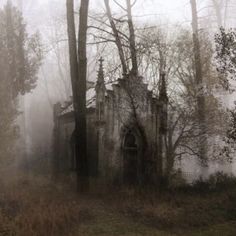 an old abandoned building in the woods on a foggy day