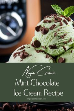 mint chocolate ice cream recipe on a plate