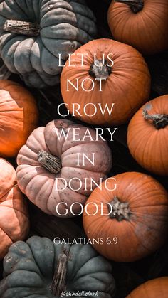 pumpkins with the words let us not grow weary in doing good