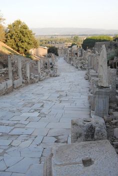 an empty street lined with ancient ruins and trees