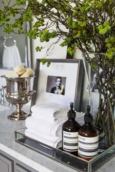 a bathroom counter topped with two bottles and a vase filled with green leaves on top of it