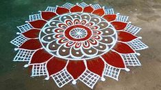 a red and white flower is on the ground