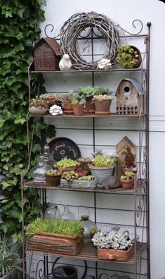 a shelf filled with potted plants next to a wall