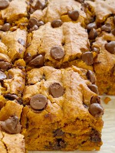 the best pumpkin chocolate chip bars