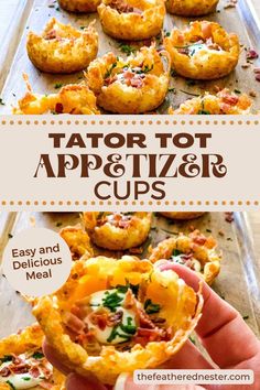 Tator Tot Appetizer Cupes are crispy, golden bites topped with melted cheese, savory bacon, and fresh green onions. They're great for game day or cozy movie nights and are sure to impress your family and friends. It’s an easy recipe that will add some fun to your snacking. Give it a try today! Tator Tot Appetizer, Tator Tot Recipe, Tater Tot Appetizers, Savory Holiday Recipes, Loaded Tater Tots, Appetizer Cups, Gluten Free Recipes Appetizers