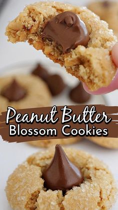 peanut butter blossom cookies with chocolate on top