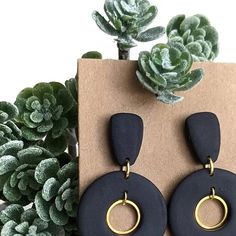 the black and gold earrings are on display next to a succulentt plant